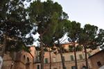 2010 08 01 ostra 038